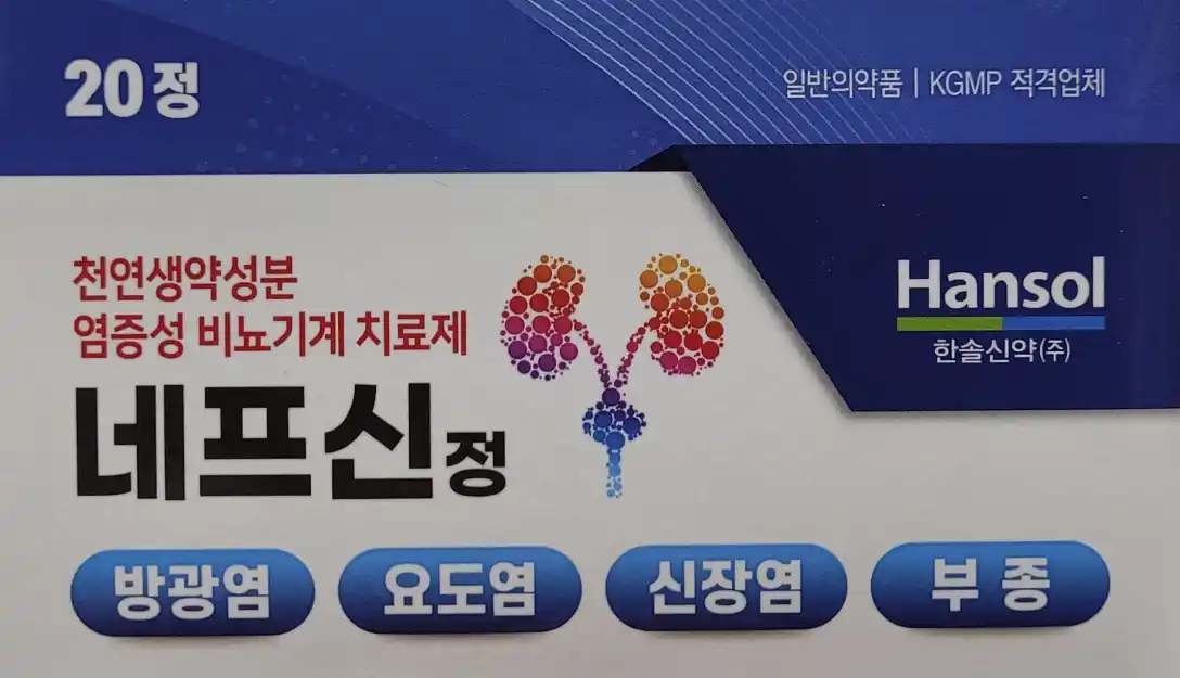 네프신정 20정
