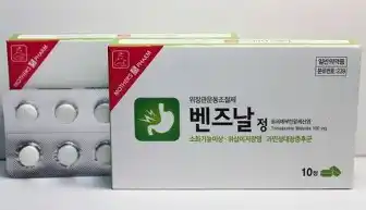 벤즈날정